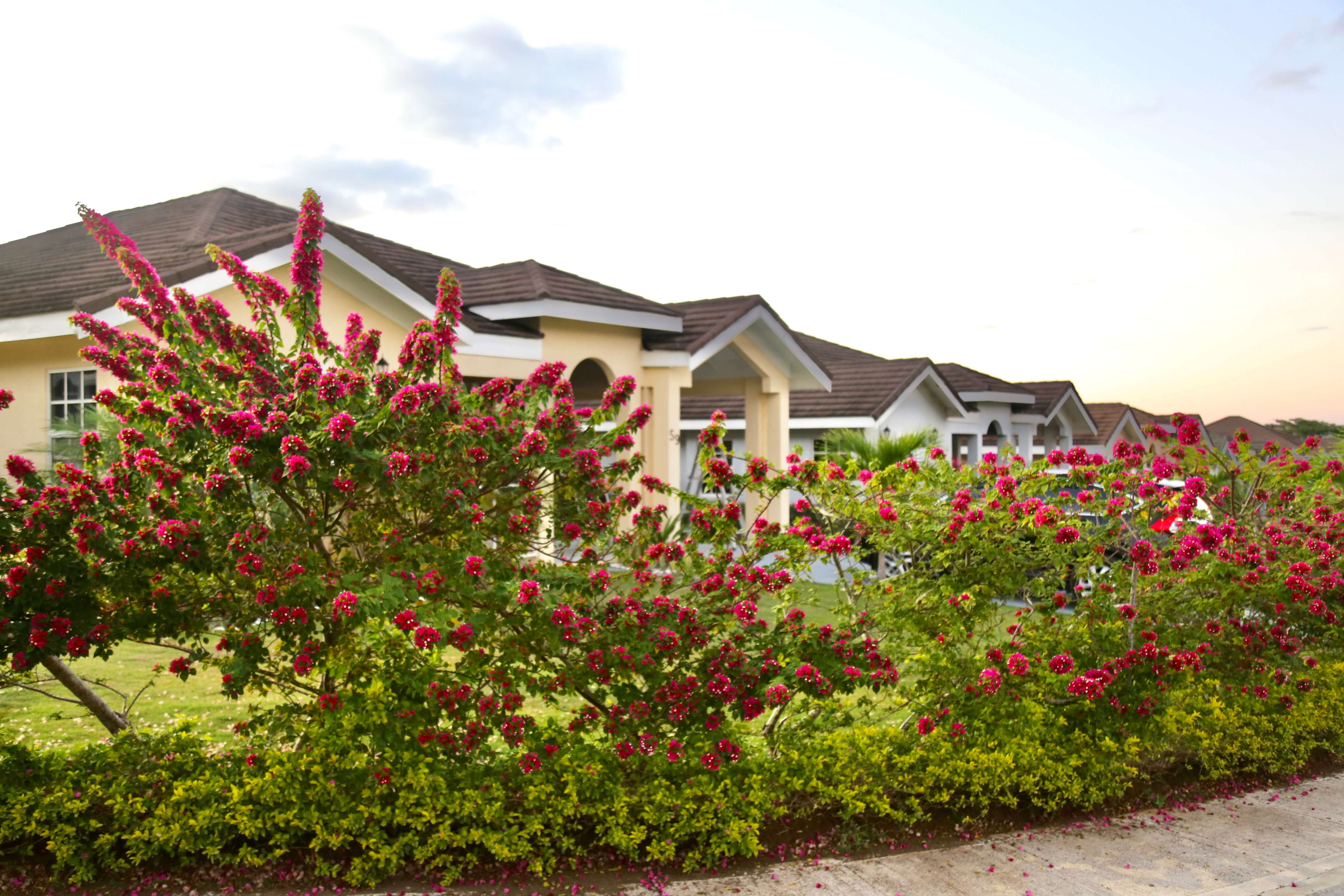 New Homes For Sale in Jamaica